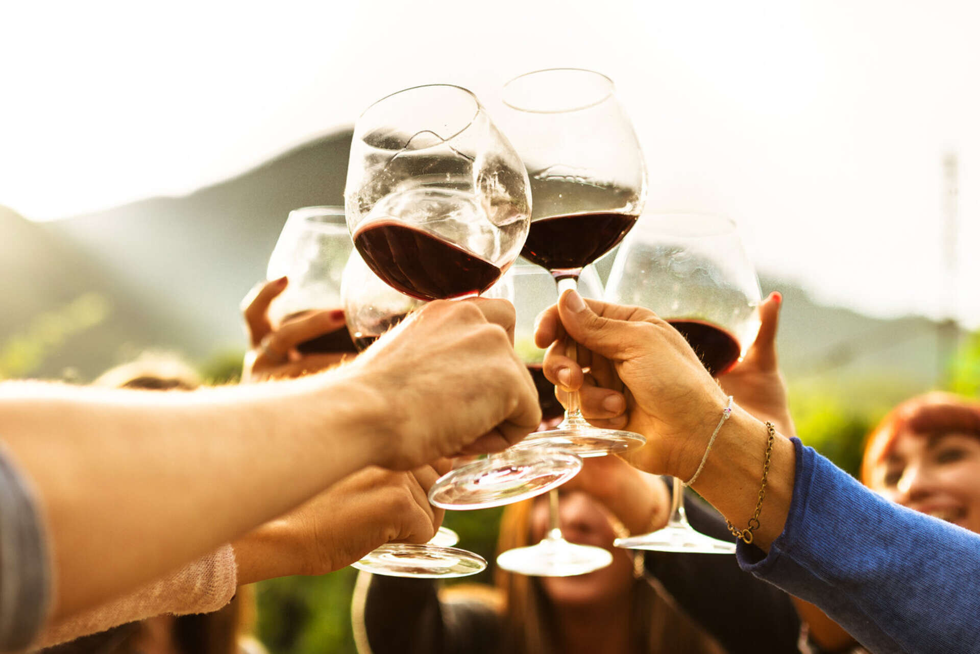 Group drinking wine